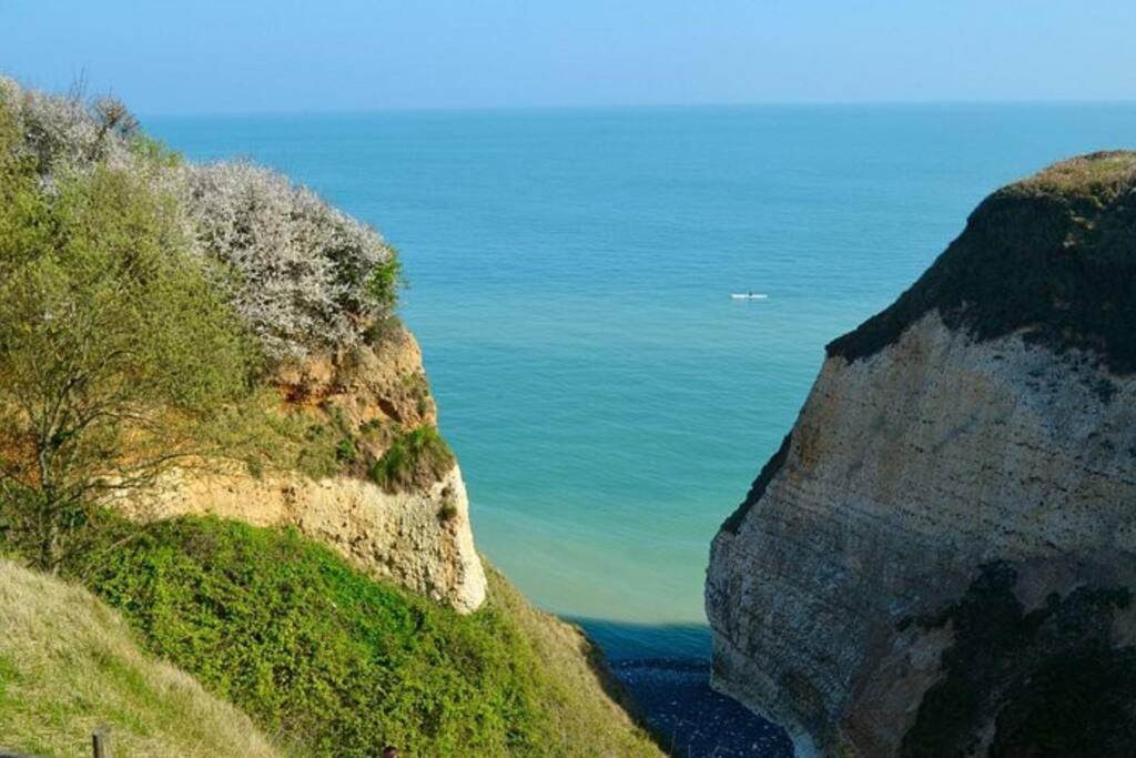Superbe Propriete Bord De Mer - Le Clos Ricarda Sainte-Marguerite  Esterno foto